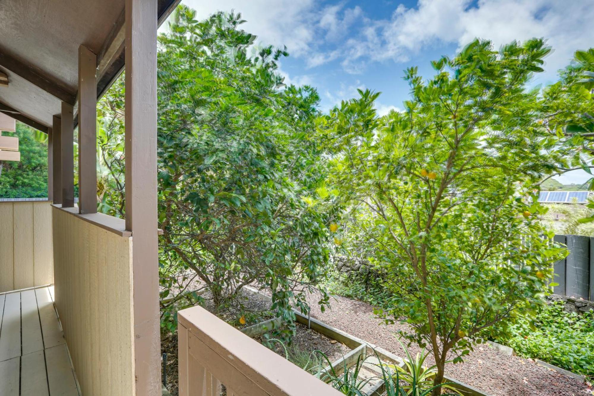 Cozy Honolulu Retreat With Pool Access, Near Beaches Waimanalo Exterior photo